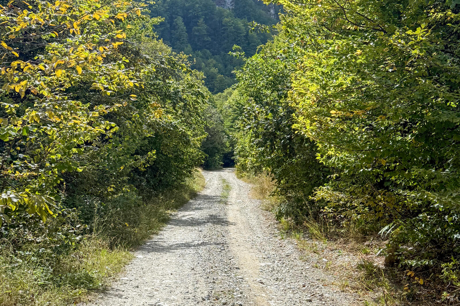 Gravel road on Trans Dinarica cycle route.